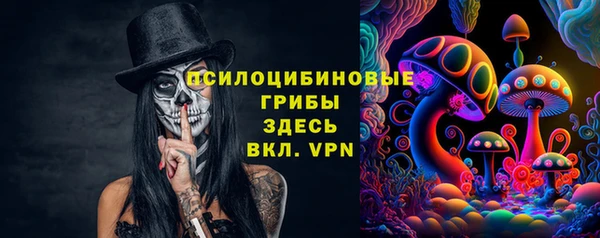 ГАЛЛЮЦИНОГЕННЫЕ ГРИБЫ Алексин