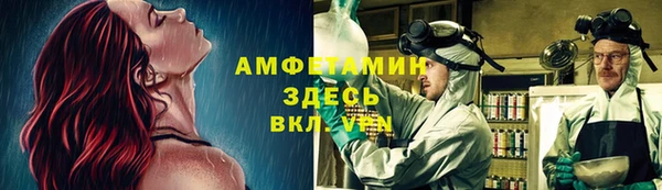 ГАЛЛЮЦИНОГЕННЫЕ ГРИБЫ Алексин